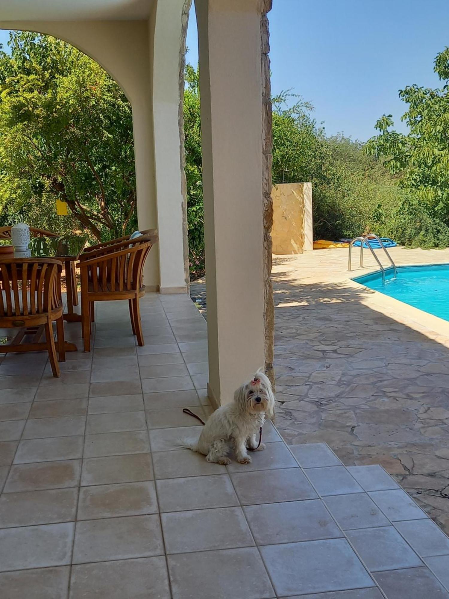 Pano Akourdalia Villa Koumneni מראה חיצוני תמונה