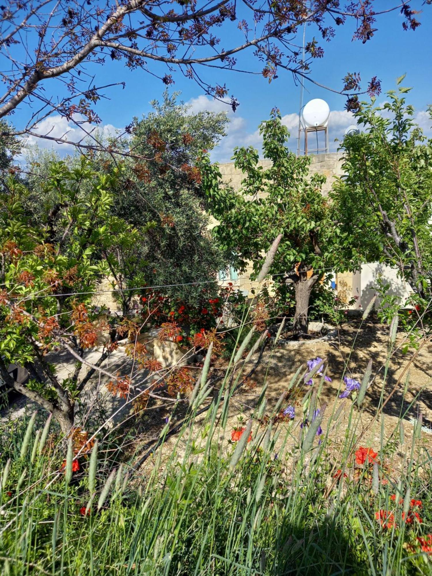Pano Akourdalia Villa Koumneni מראה חיצוני תמונה