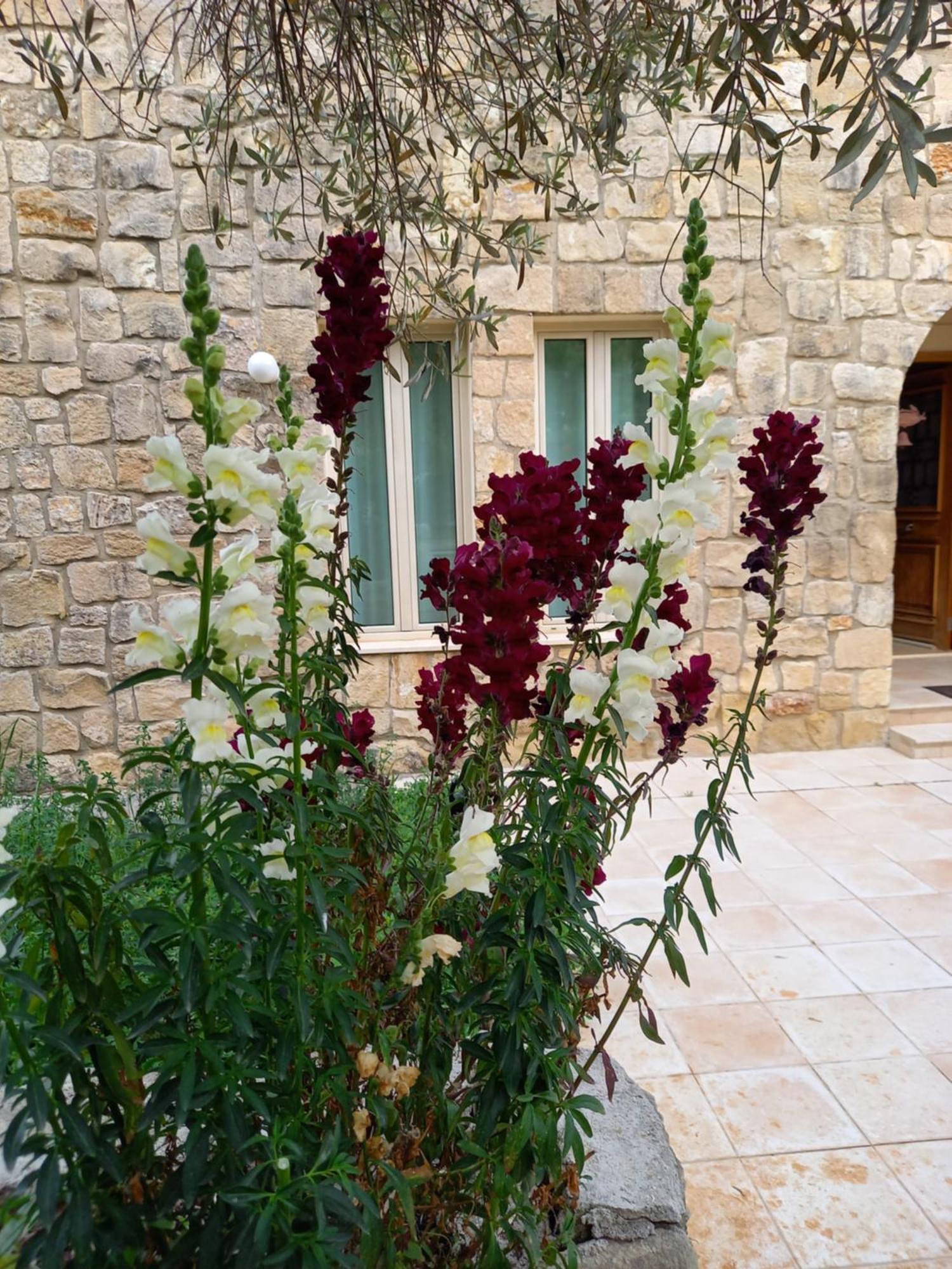 Pano Akourdalia Villa Koumneni מראה חיצוני תמונה