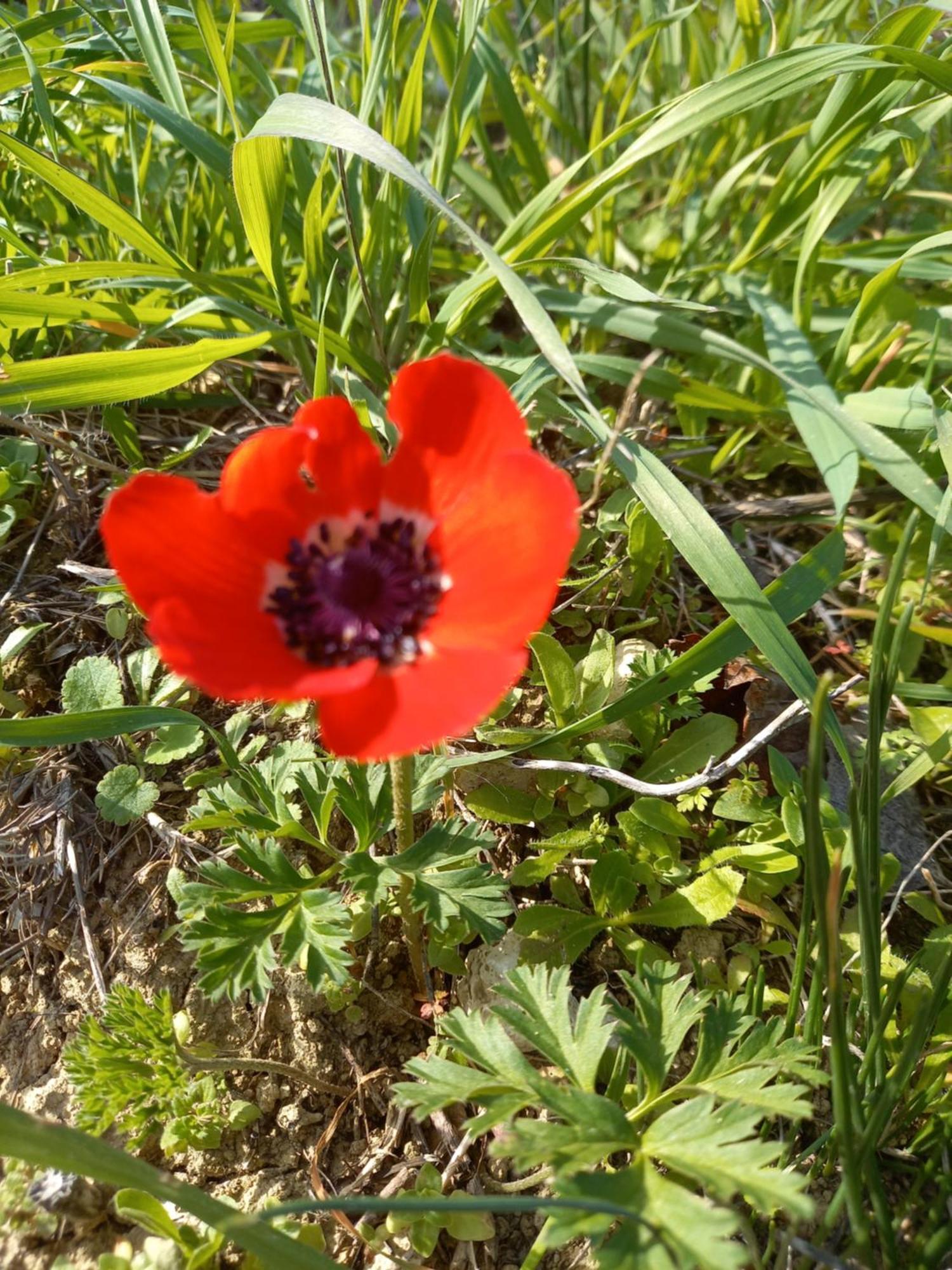 Pano Akourdalia Villa Koumneni מראה חיצוני תמונה