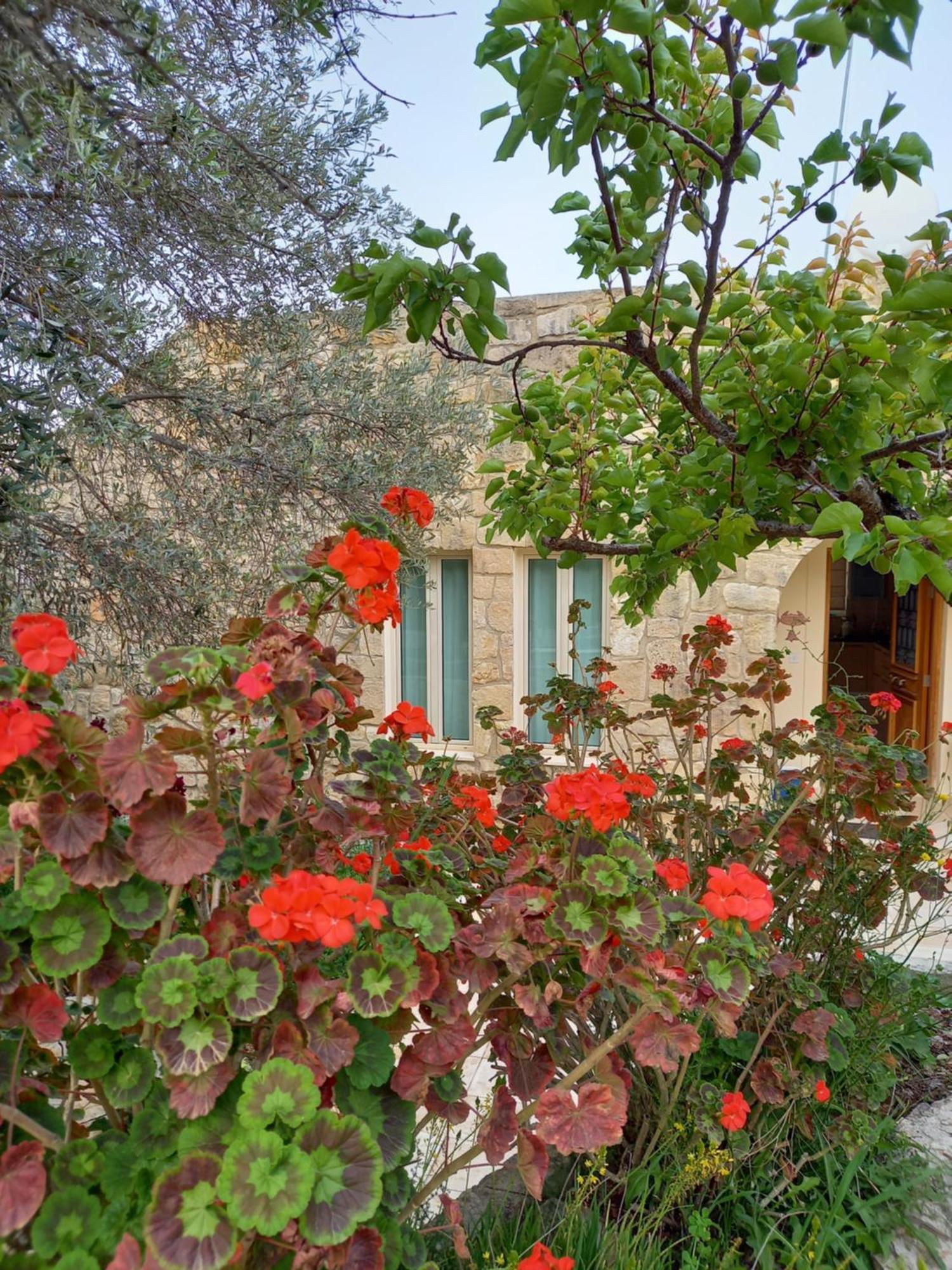 Pano Akourdalia Villa Koumneni מראה חיצוני תמונה
