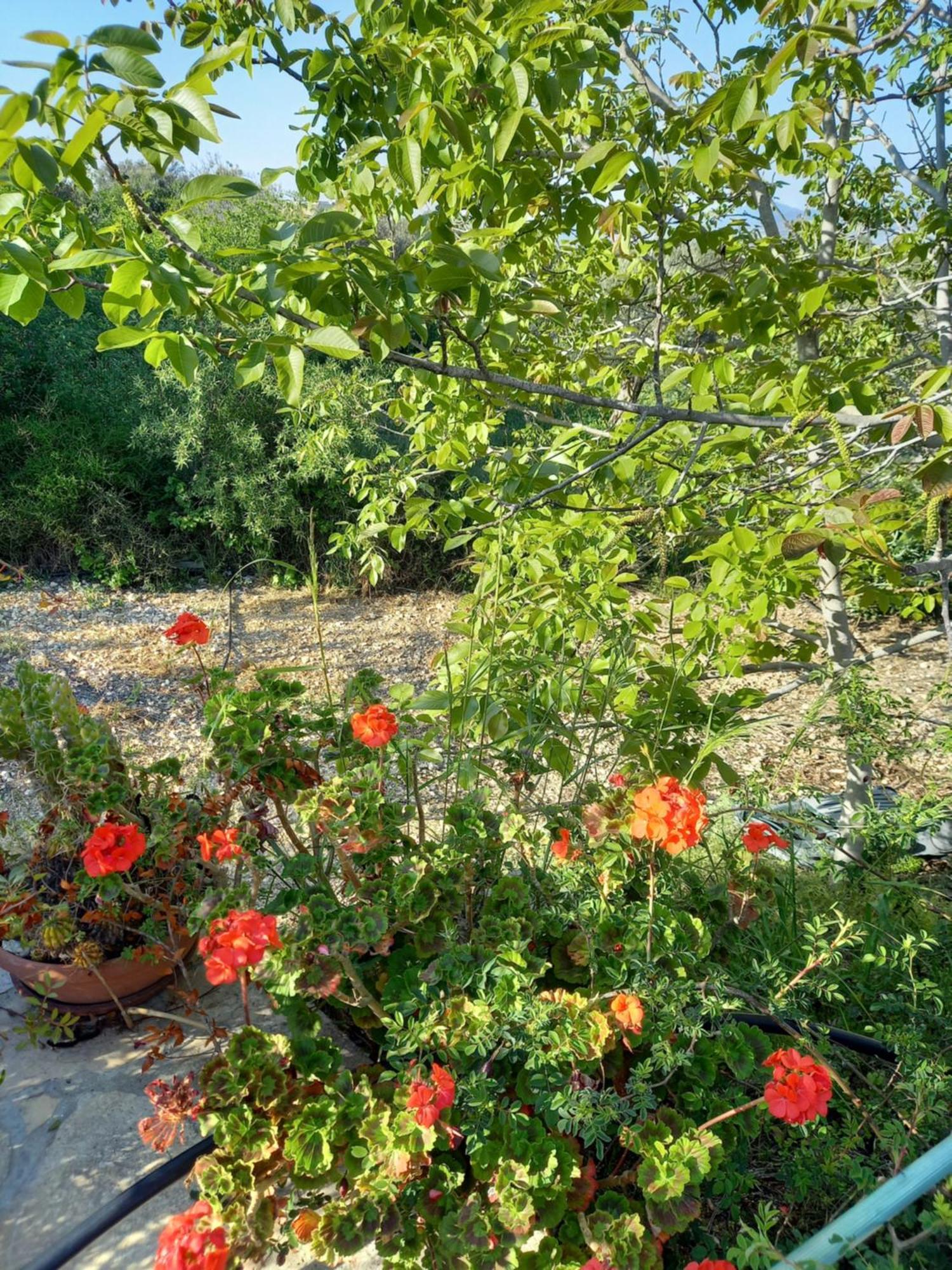 Pano Akourdalia Villa Koumneni מראה חיצוני תמונה