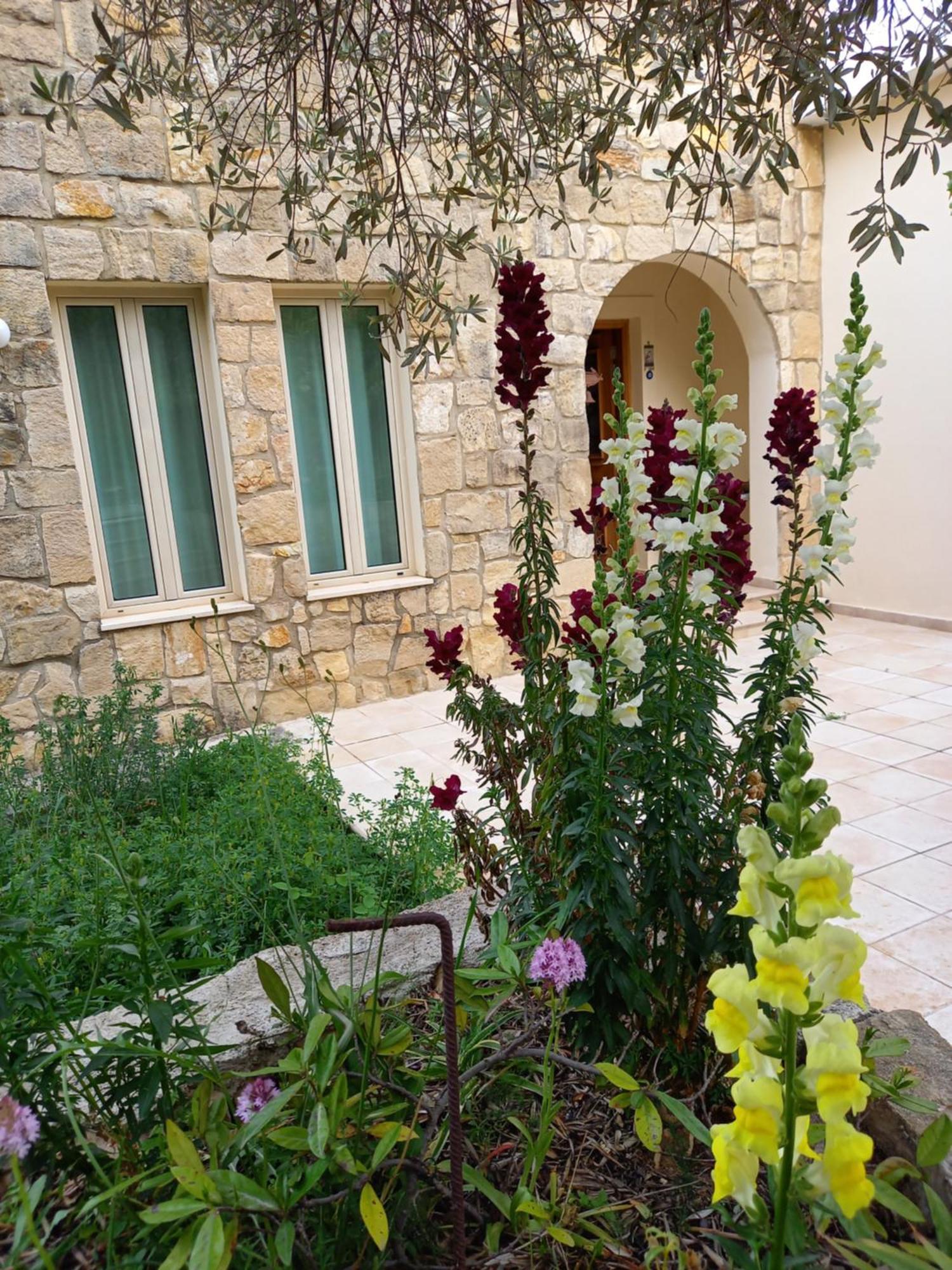 Pano Akourdalia Villa Koumneni מראה חיצוני תמונה