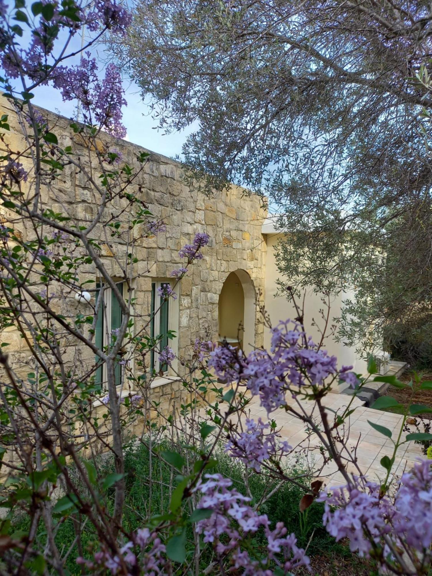 Pano Akourdalia Villa Koumneni מראה חיצוני תמונה