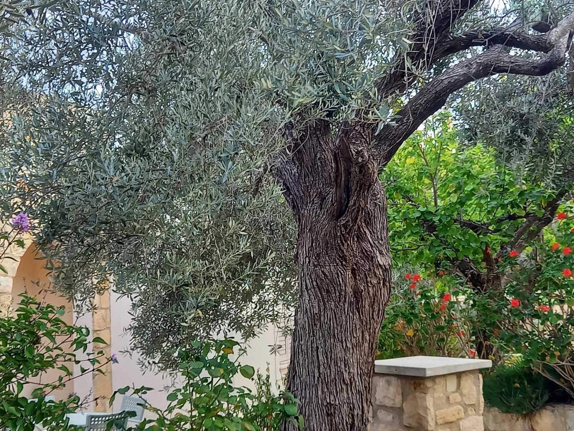 Pano Akourdalia Villa Koumneni מראה חיצוני תמונה