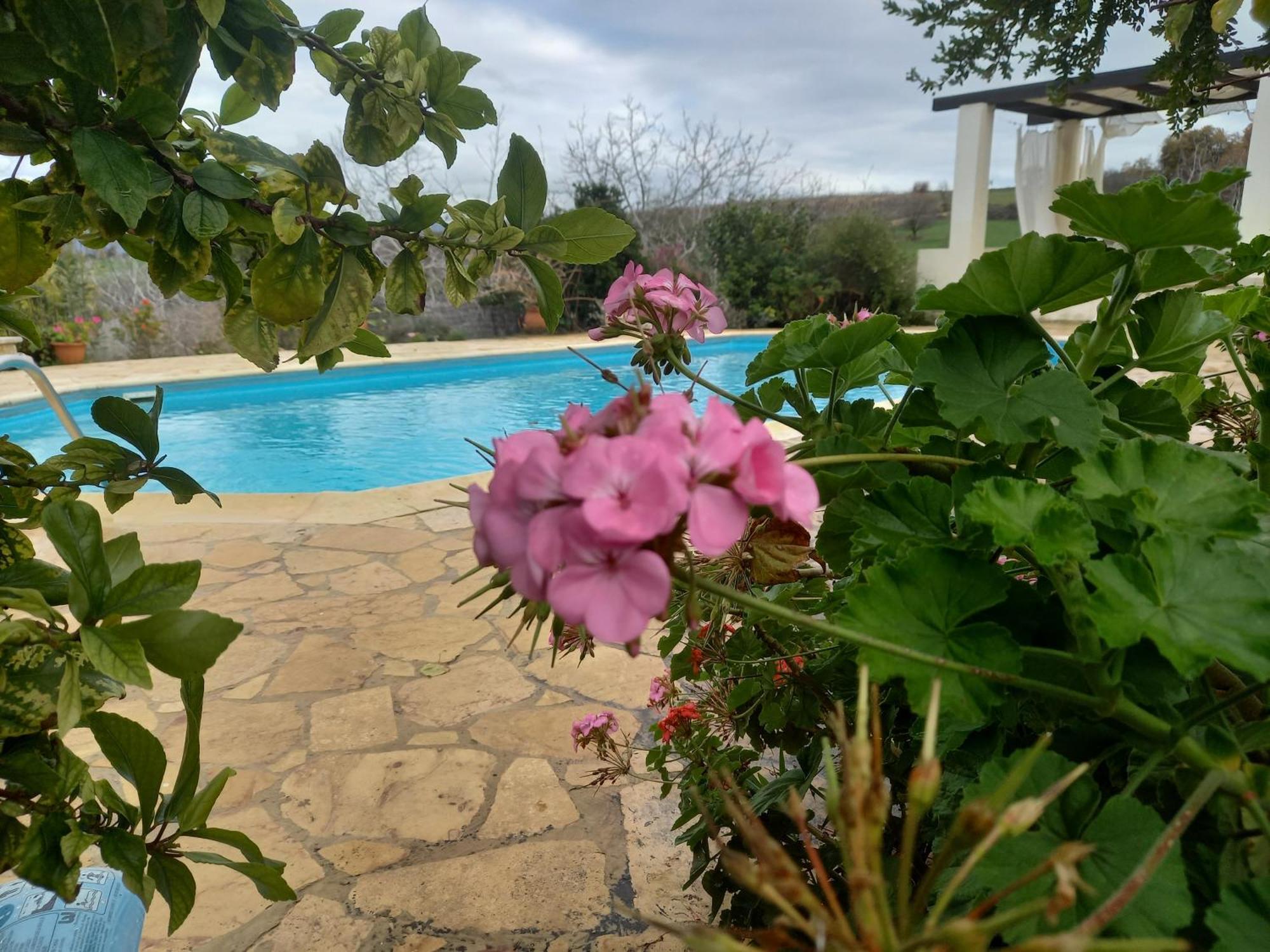 Pano Akourdalia Villa Koumneni מראה חיצוני תמונה
