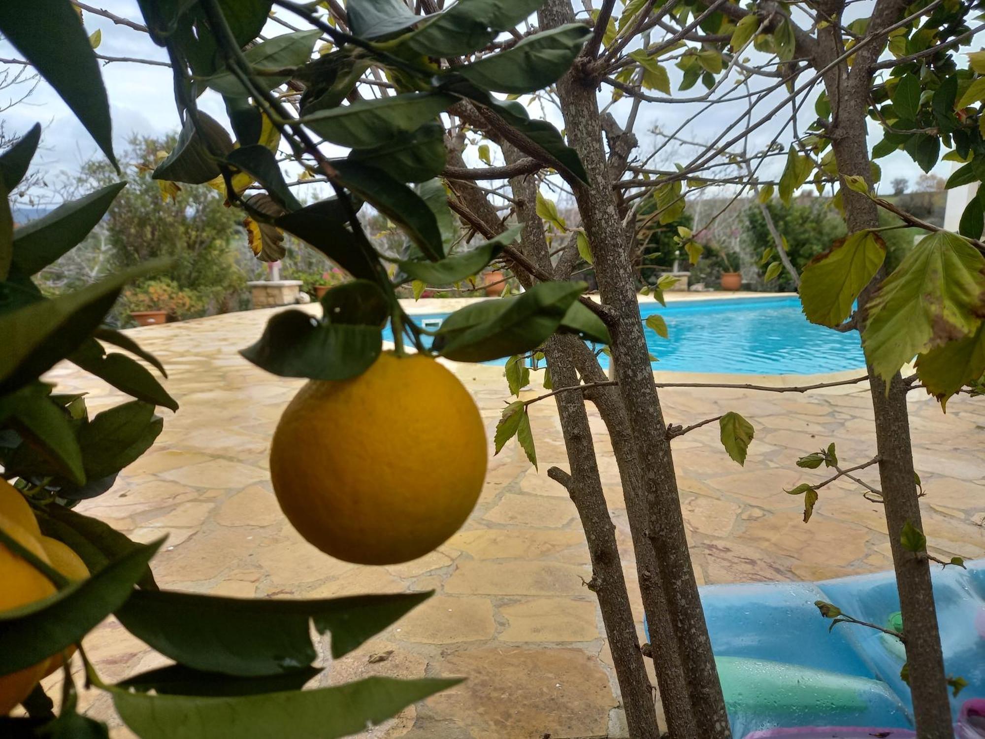 Pano Akourdalia Villa Koumneni מראה חיצוני תמונה